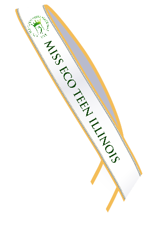 Teen State Sashes