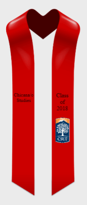 chic_stole_1958981229