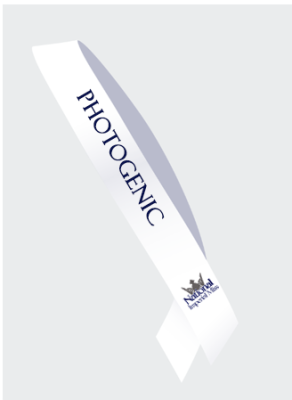 national-imperial-miss-state-optional-sash_945079922