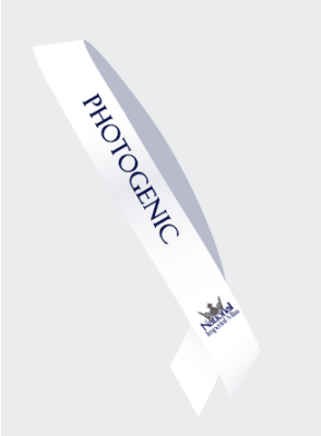 national_imperial_miss_state_optional_sash