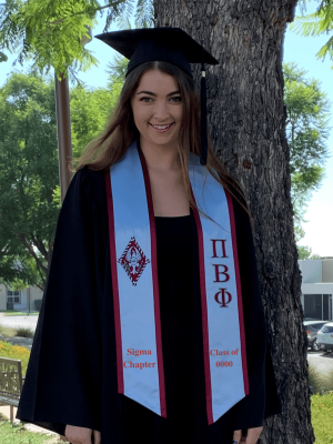 pi_beta_phi_custom_greek